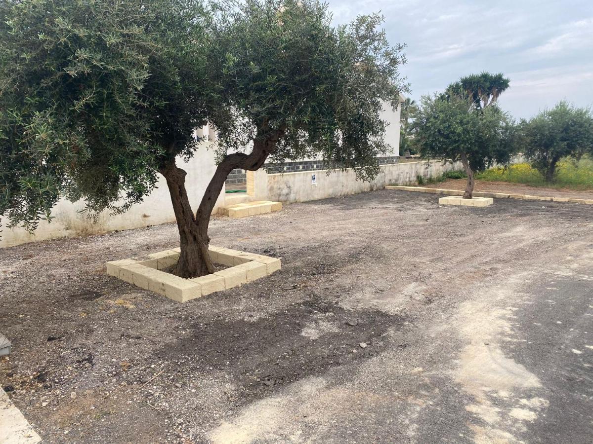 Case Vacanze Giovanna Petrosino Dış mekan fotoğraf